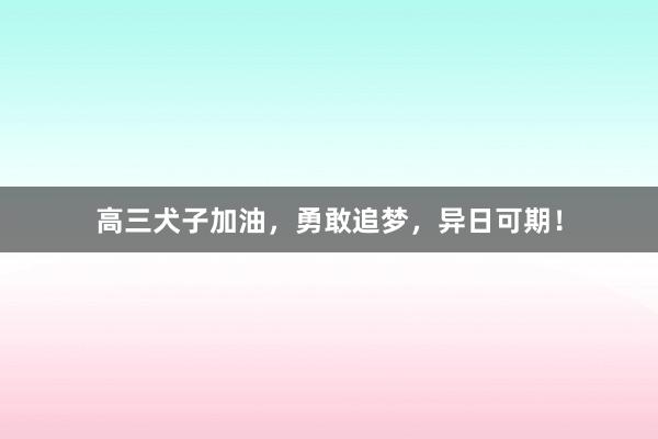 高三犬子加油，勇敢追梦，异日可期！